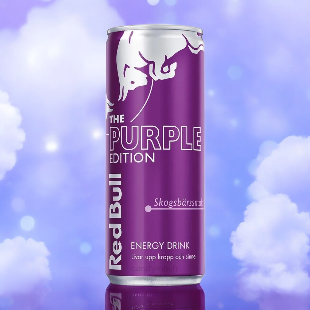 RED BULL PURPLE 25 CL